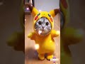 Watch This Cat Turn Into The Most Adorable Pikachu Ever!🐱⚡  #ai  #cat  #catlover