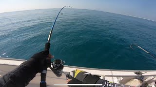 offshore Fishing trip | Fishing in Abu Dhabi water