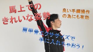 馬の乗り方～肩の動き方とそのエクササイズ（肩甲骨からきれいな姿勢が生まれる）