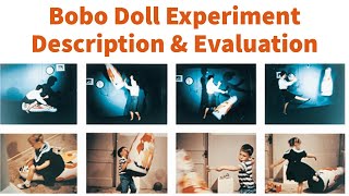 Bobo Doll Experiment