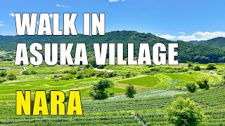 Explore Rice terraced fields in Asuka village in 4 seasons Nara prefecture 🇯🇵 TOP 100 rice paddies