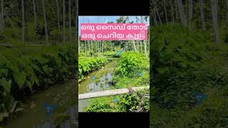 വയനാട് റിസോർട് നിർമിക്കാൻ അനുയോജ്യമായ 1 ഏക്കർ 60 സെന്റ് സ്ഥലം വില്പനക്ക് വിളിക്കു 7306177122