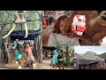 Discover South Africa 🇿🇦 || LESEDI CULTURAL VILLAGE  || LION & SAFARI PARK,