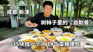 成都新津开在树林子里的自助餐厅，35块钱14个菜随便吃，巴适得板