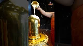 ధన వర్షాన్ని కురిపించే బంగారు శివలింగం| Golden Shiva Lingam | Ramaneswaram | #shorts