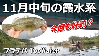 【霞ヶ浦水系・11月中旬】雨降ってプラスか？マイナスか？【フライでバス釣り・トップウォーター】