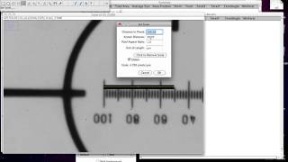 Image J Set Scale Tutorial.