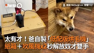 爸自製「低配版烘毛機」紙箱＋2吹風機解放奴才雙手｜DIY｜寵物吹毛｜柴柴洗澡