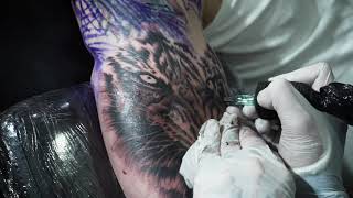 Sanjin Tattoo - Shoulder tiger tattoo