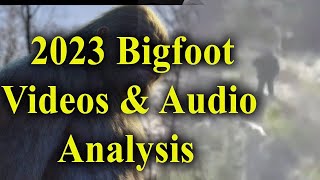 2023 Impressive Bigfoot evidence