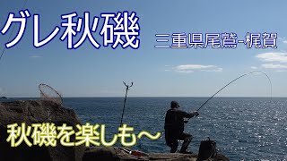 グレ磯釣り秋磯は魚種が豊富2020-10三重県尾鷲-梶賀