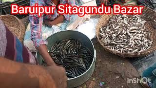 Baruipur sitakundu Bajar sabji Bazar fish Bazar@nachim food vlog5563