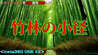 【広島から】幻想的な景色＠嵐山 竹林の小径【京都へ】