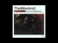The Weeknd - The Fall (Echoes Of Silence w/ Lyrics)