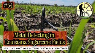 IDH Episode 64: Metal Detecting in Louisiana Sugarcane Fields