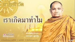 พุทโธโลยี พาใจเข้าวัด 94 เราเกิดมาทำไม  เสียงหลวงพ่อชา สุภัทโท