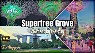 Light show at Supertree - Gardens by the Bay Singapore | #singapore @TheFlyingTwo The Flying Two