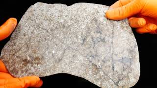 Meteorite MC181 large size slice from 13.6kg chondrite L6