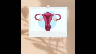 IVF Procedure - What Is It \u0026 How Does It Work