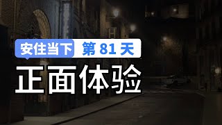 【安住当下DAY81】10分钟冥想引导｜连接正面体验冥想