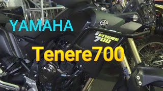 Yamaha Tenere 700 engine guard installed