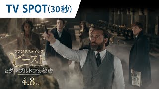 映画『ファンタスティック・ビーストとダンブルドアの秘密』TV SPOT(30秒) 2022年4月8日（金）公開