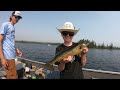 guardian eagle resort ontario s top fishing destination