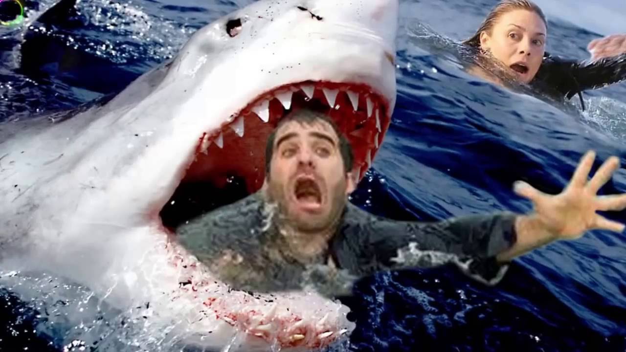 Top 5 Worst Shark Attacks In History Shark Attack Top Ten - YouTube