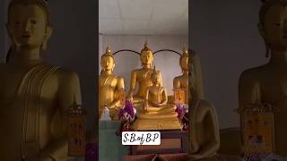 #shakyamuni_buddha #india #buddha #youtubeshorts