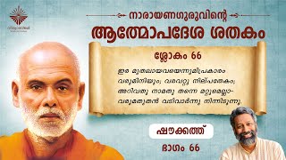 ആത്മോപദേശശതകം ശ്ലോകം 66 I ഷൗക്കത്ത് I  Athmopadesa Sathakam Slokam 66 I Shoukath