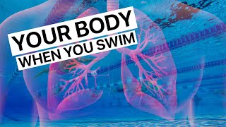 What Happens To Your Body When You Swim?