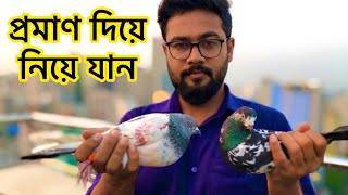 অতিথি কবুতর প্রমাণ দিয়ে নিয়ে যান