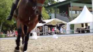 Falsterbo Horse Show 2013