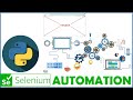 SELENIUM PYTHON FOR WEB AUTOMATION TEST AUTOMATION HOW TO RESIZE BROWSER WINDOW / MAXIMIZE WINDOW