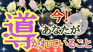 タロット占い✨オラクルカードリーディング✨あなたが今、導かれている運命とは？！💐編集無し＆ノーカットなので対面鑑定のようにリーディング時におりてきた言葉を全てお伝えしています🤗✨