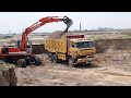 jcb excavator load clay in dump truck jcb excavator truck