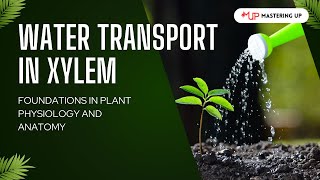 Water Transport in Xylem | #7