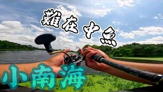 我心中最難釣的釣場各位有空可以常常去看看#小南海風景區#路亞#曲腰#魚球#護佑#落水咬