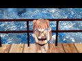 【mmd艦これ】水着姿の村雨嬢でハイファイレイヴァー