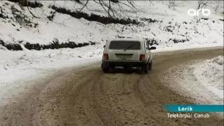 Lerikdə qarlı hava şəraiti nəticəsində irigövdəli ağac yola aşdı, magsitral bağlandı