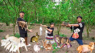 BERBURU KUCING H4M1L, KELINCI DAN GUGUK DI TENGAH HUTAN!!