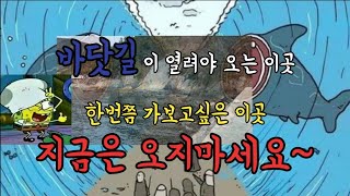 [제로찌]여수 바닷길이 열려야만 갈수있어!캠낚 각 나오내(지금은 오지마세요ㅋㅋㅋㅋ)