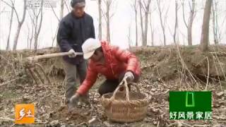 20150515 乡土  盐土大地大丰人