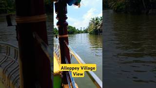 🌴🏞️Alleppey Village View😍❤️🌴#Alleppey Shorts#Kochi#Ernakulam#Kerala Shorts#🤩🤩What a Nature🤩👏