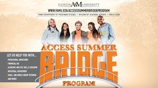 Access Summer Bridge