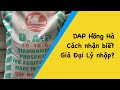 Phân DAP Hồng Hà. Cách truy suất nguồn gốc, Giá đại lý nhập như thế nào?