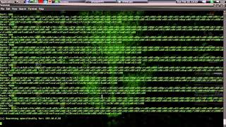 [Python] Shodan API - Tool Search Assistant