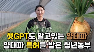 양대파│ 버려지는 양파를 양대파라는 새로운 품종으로 특허받아 매출을 올리고 있는 청년농부 - 김도혜 │청년농부│영농2세