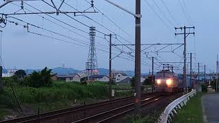 JR貨物 EF66 126[吹] 1097レ 豊橋駅〜西小坂井駅間