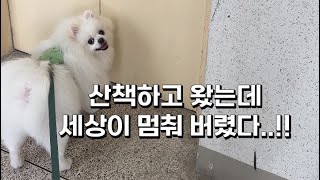 산책하고 왔는데 엘리베이터 점검중이라고요..?